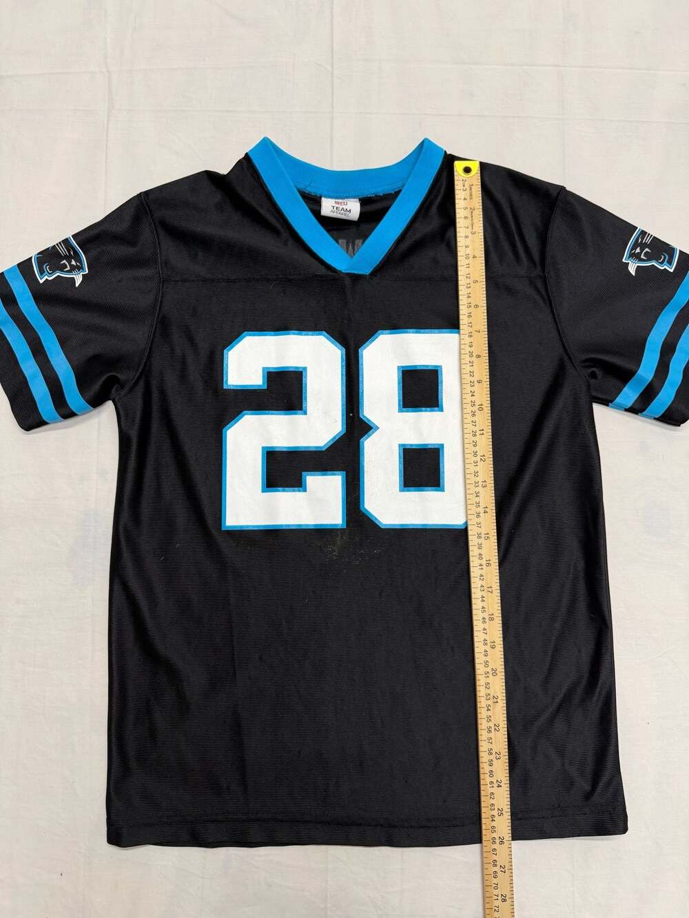 Jonathan Stewart #28 Carolina Panthers NFL Team Apparel Youth Jersey - Picture 2 of 9